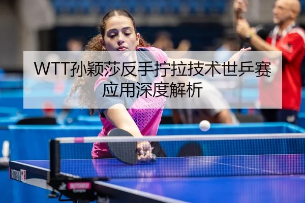 sun-ying-sha-fan-shou-ning-la-ji-shu-shi-ping-sai-ying-yong-shen-du-jie-xi-3-406.jpg