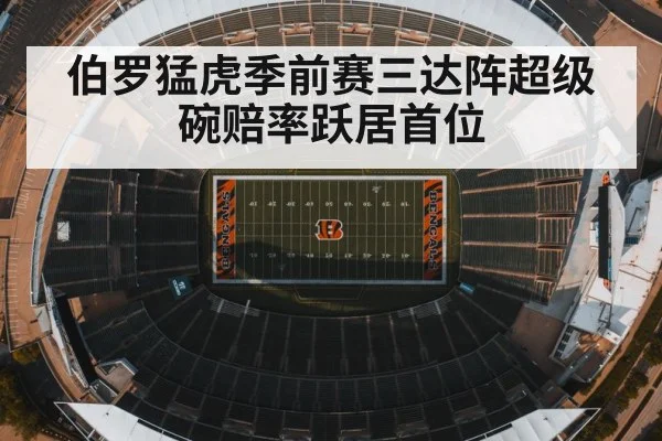 伯罗猛虎季前赛三达阵超级碗赔率跃居首位